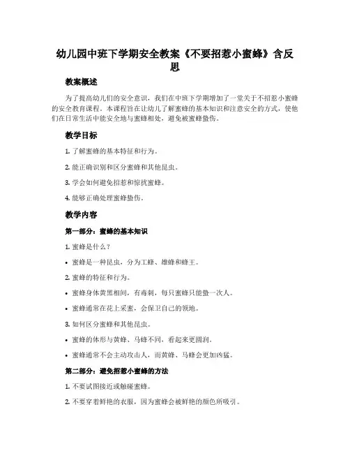 幼儿园中班下学期安全教案《不要招惹小蜜蜂》含反思