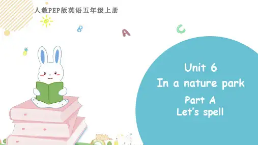 人教版PEP2020-2021学年五年级英语上册Unit 6 Part A 第三课时课件
