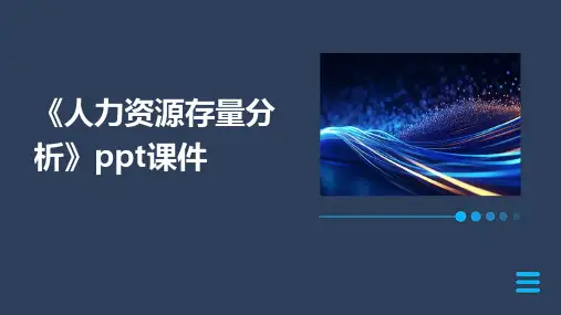 《人力资源存量分析》课件