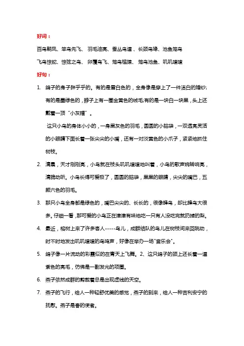 鸟类的好词好句摘抄