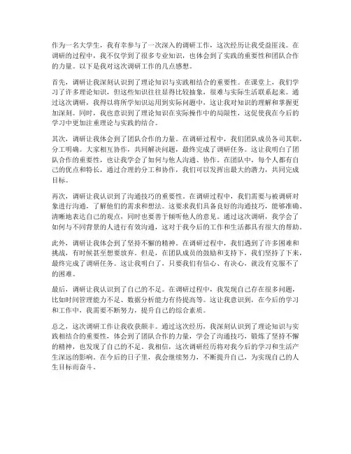 大学生调研的工作感想