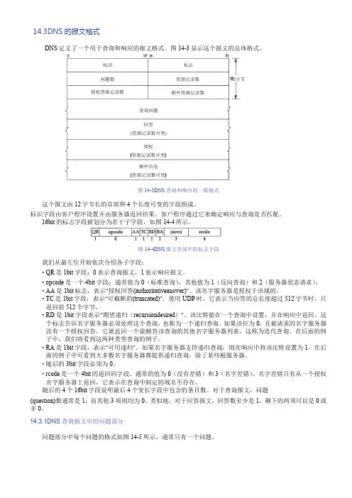 TCPIP详解-卷一-协议-14.3-DNS的报文格式