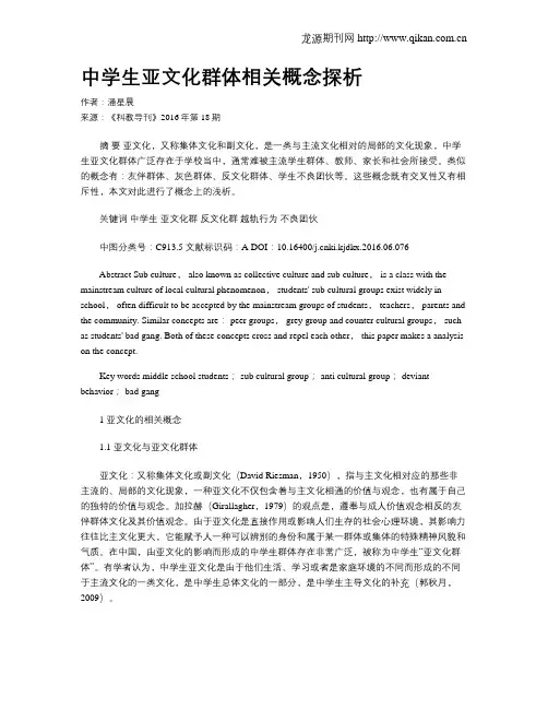 中学生亚文化群体相关概念探析