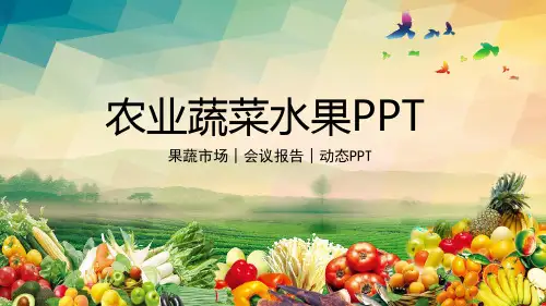 农产品网上销售PPT