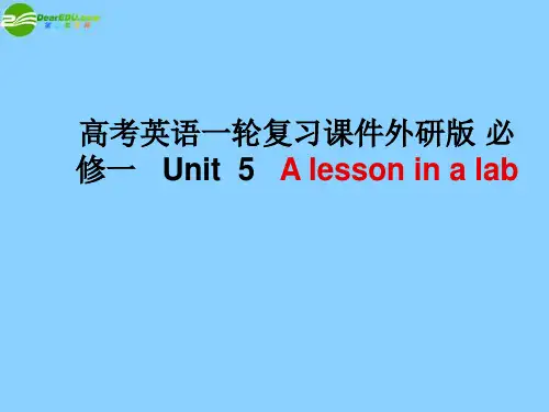 高考英语一轮复习 Unit 5 A lesson in a lab课件 外研版必修1