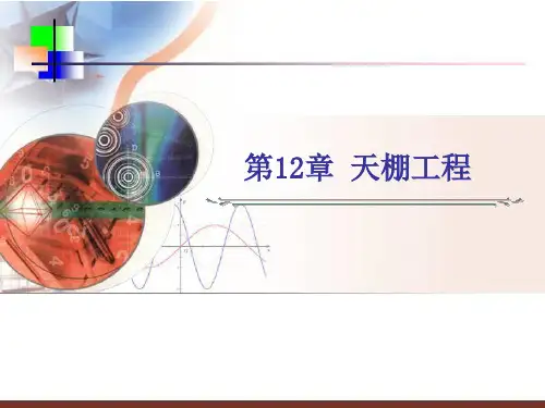 20第12章天棚工程