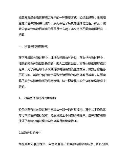 减数分裂染色体数目减半的原因