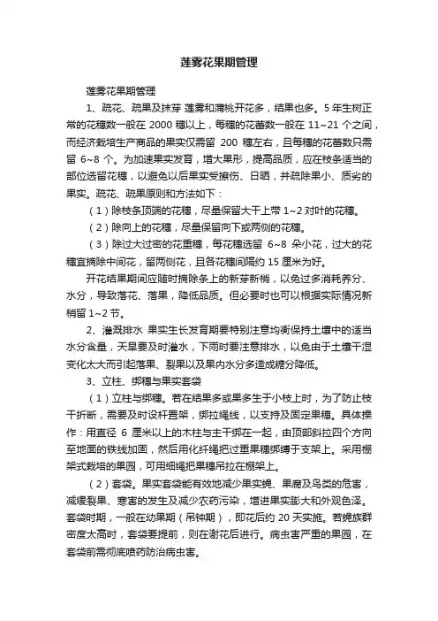 莲雾花果期管理