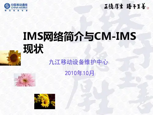 IMS简介PPT(精简版)