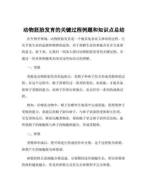 动物胚胎发育的关键过程例题和知识点总结