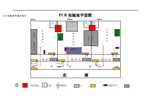 PCR实验室平面图