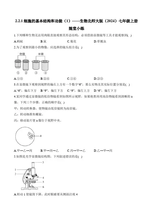 2.2.1细胞的基本结构和功能(1)——生物北师大版(2024)七年级上册随堂小练(部分含解析