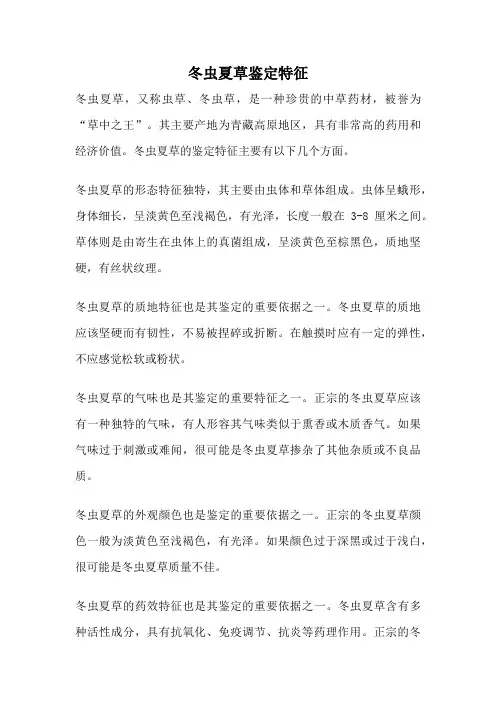 冬虫夏草鉴定特征