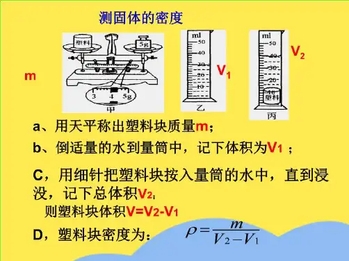 密度测量专题复习(“测出”相关文档)共9张