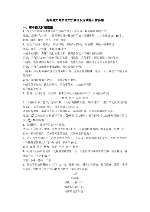 高考语文高中语文扩展语段专项练习含答案