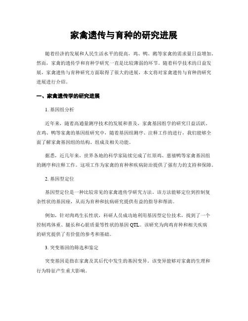 家禽遗传与育种的研究进展
