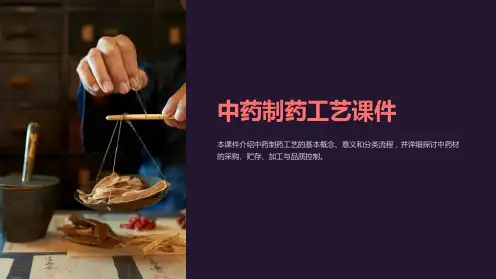 《中药制药工艺课件》