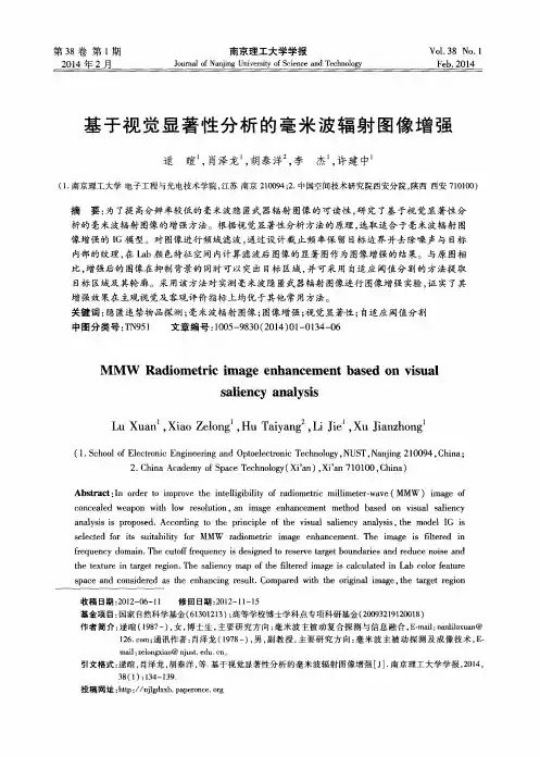 基于视觉显著性分析的毫米波辐射图像增强