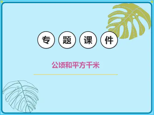 小学数学四年级上册专题课件公顷和平方千米(人教版)(共27张PPT)