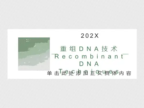 重组DNA-分子克隆技术
