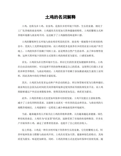 土鸡的名词解释