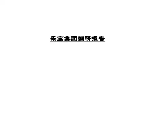 乐高集团调研报告 ppt课件