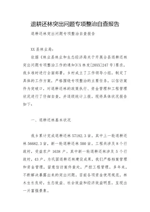 退耕还林突出问题专项整治自查报告