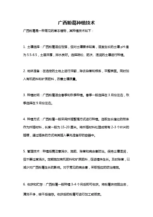 广西粉葛种植技术