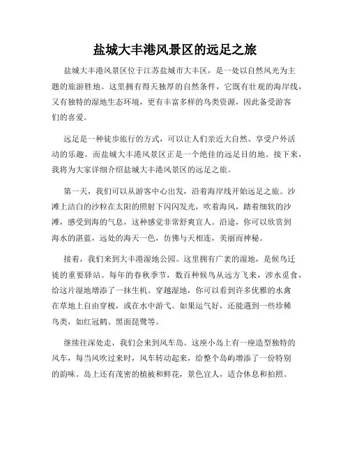 盐城大丰港风景区的远足之旅