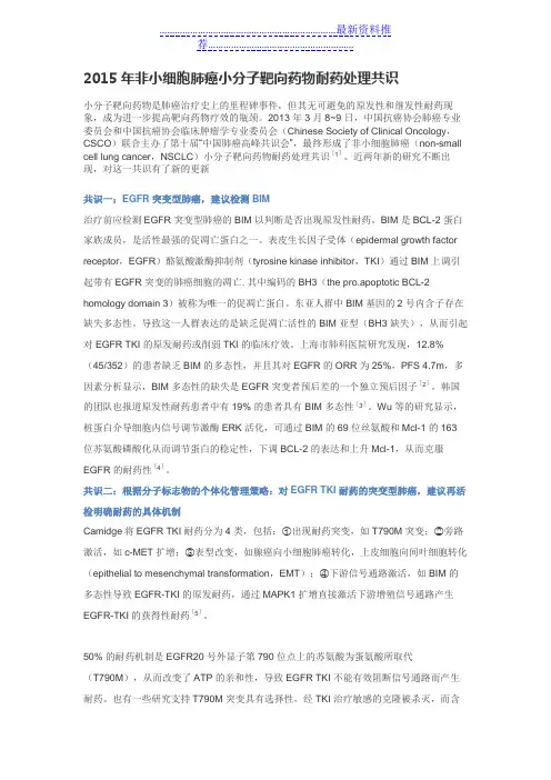 非小细胞肺癌小分子靶向药物耐药处理共识