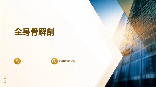 《全身骨解剖》课件