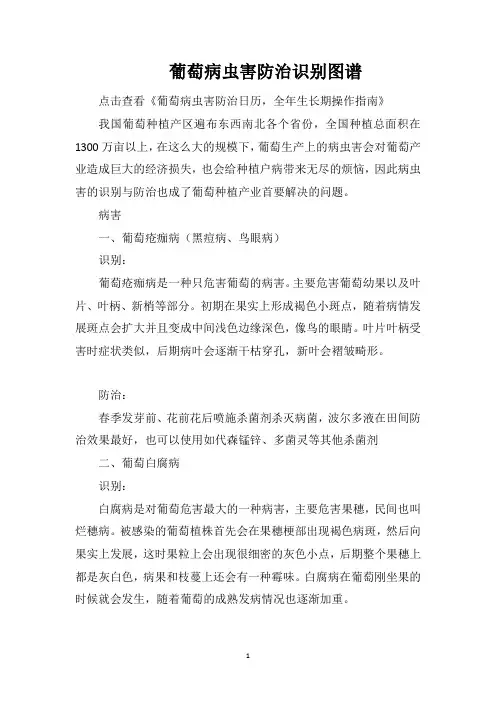 葡萄病虫害防治识别图谱