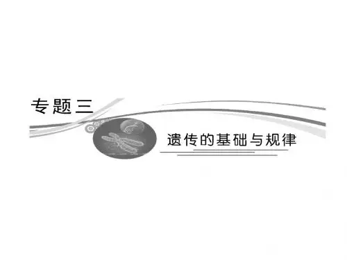 生物高考二轮复习-遗传的分子基础