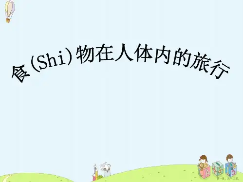 教科版科学四年级上册《食物在体内的旅行》课件PPT1
