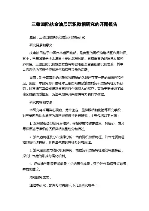 三肇凹陷扶余油层沉积微相研究的开题报告
