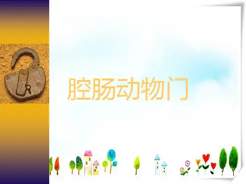 腔肠动物门-课件