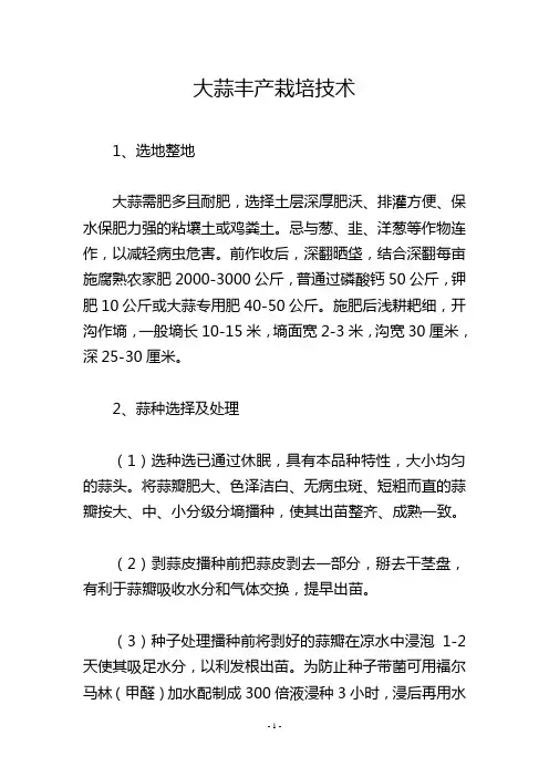 大蒜丰产栽培技术