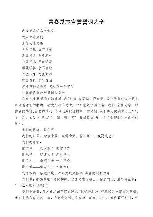 青春励志宣誓誓词大全