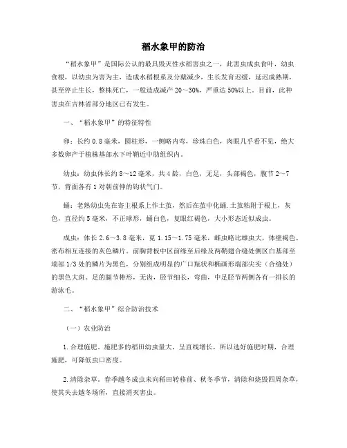 稻水象甲的防治