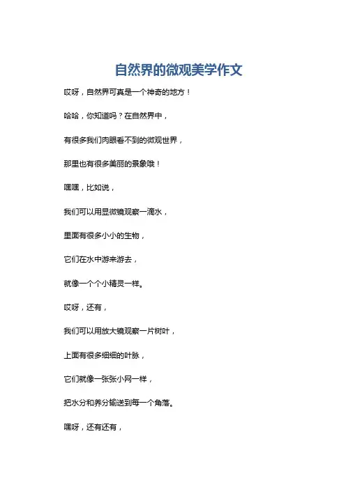 自然界的微观美学作文