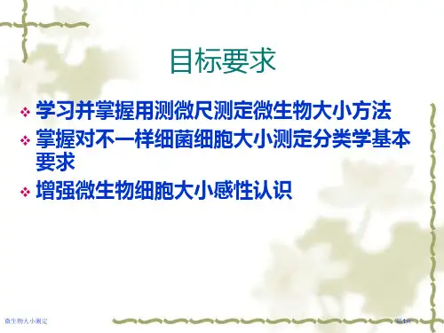微生物大小测定