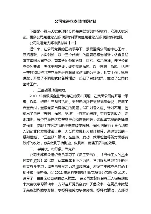 公司先进党支部申报材料