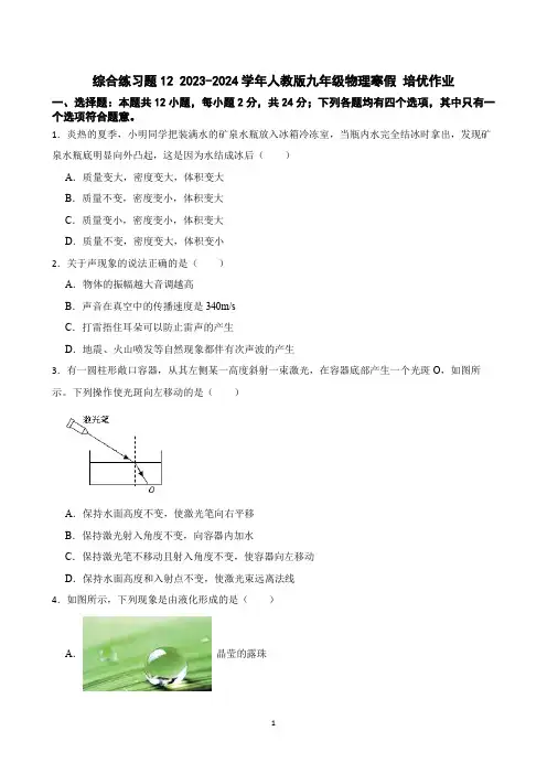 综合练习题12 2023-2024学年人教版九年级物理寒假 培优作业(含答案)