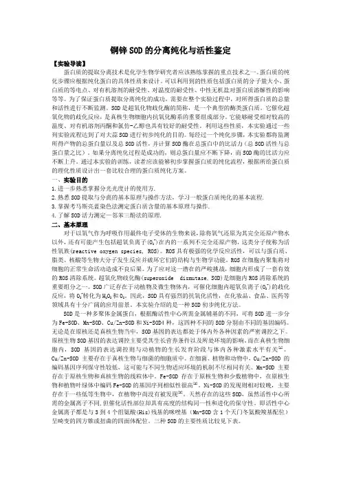 铜锌SOD的分离纯化与活性鉴定