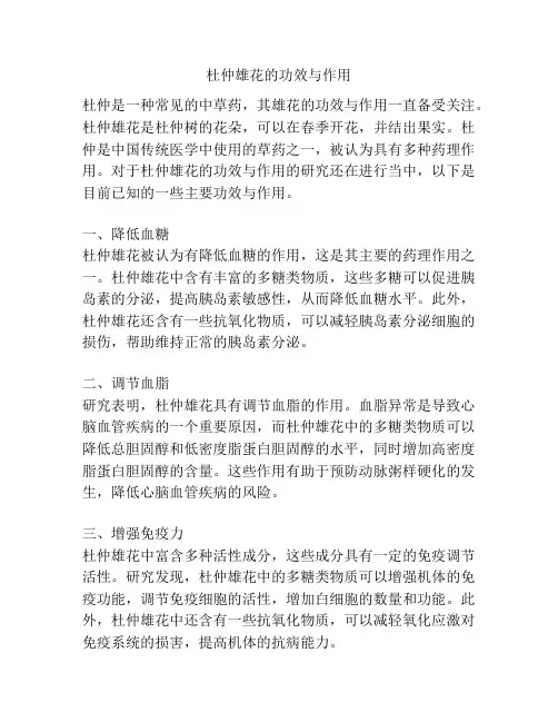 杜仲雄花的功效与作用