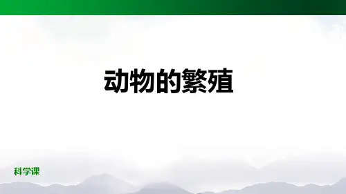 人教版鄂教版四年级动物的繁殖科学课件ppt