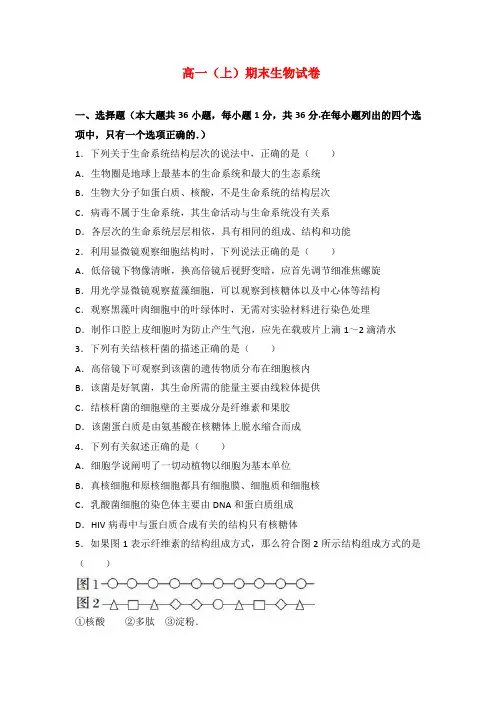 高一(上)期末生物试卷解析版