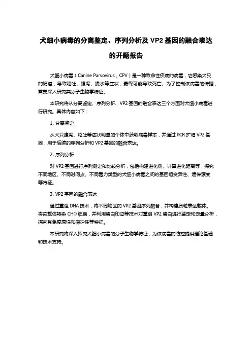 犬细小病毒的分离鉴定、序列分析及VP2基因的融合表达的开题报告