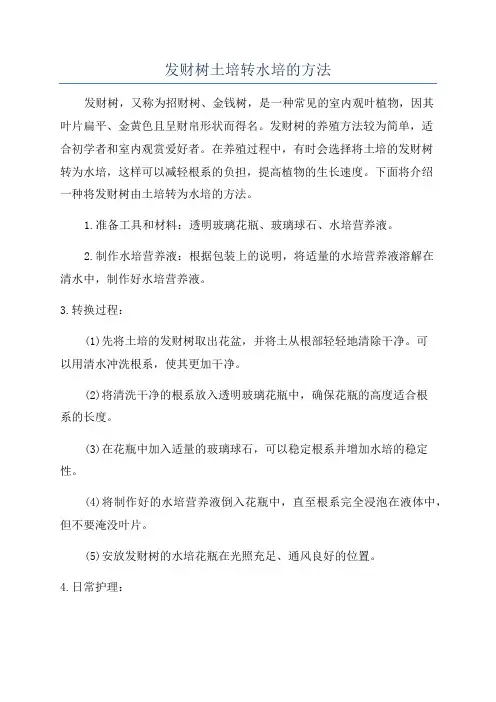 发财树土培转水培的方法