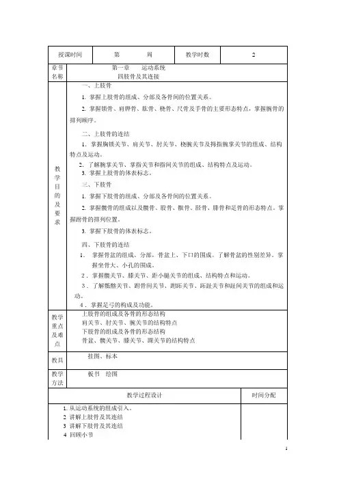 四肢骨及其连接